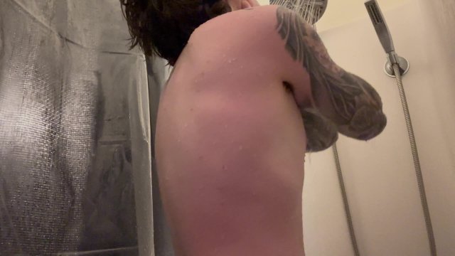 Fly On The Wall Fit Shy..