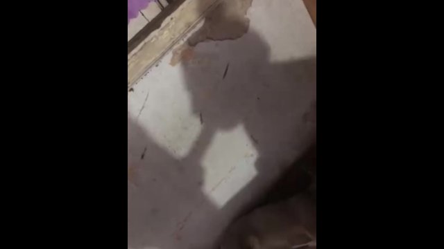 Shadow deepthroat shadow slut