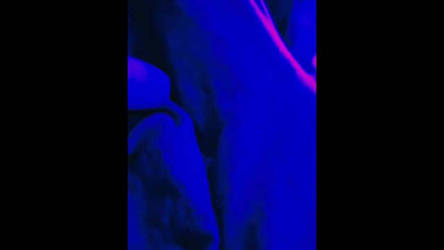 Big Hard Cock Reveal