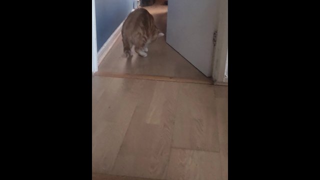 Pissing in the morning