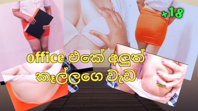 අලුතින්..