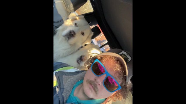 Rocking out with the dogs