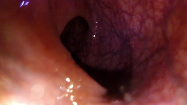 POV: Gulping you into the..