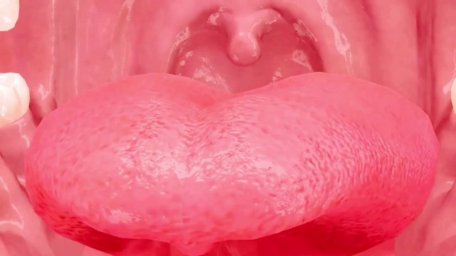 口内でれろぉ♡ねっ..