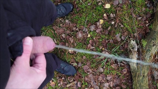 Pissing in the forest