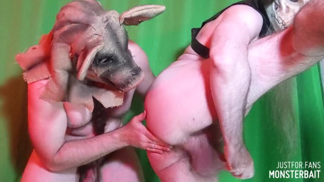 Preview for our new Toypig..