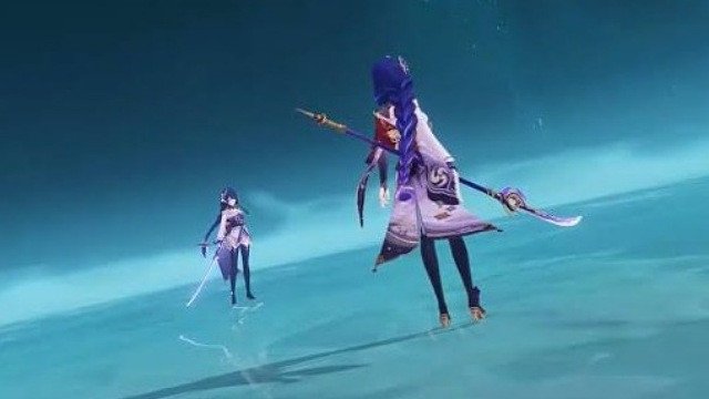 Shogun Raiden vs Shogun..