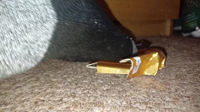 Box Crush & Trample in..